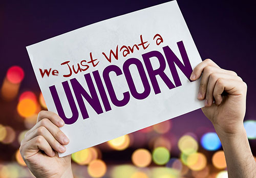 couple looking for unicorns